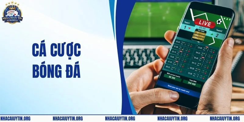 Cá Cược Bóng Đá - Hé Lộ Mẹo Bắt Kèo Chuẩn Từng Trận Đấu