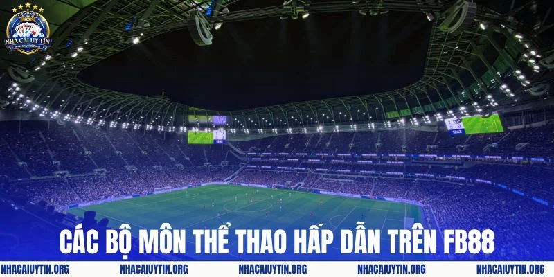 Các bộ môn thể thao hấp dẫn trên FB88