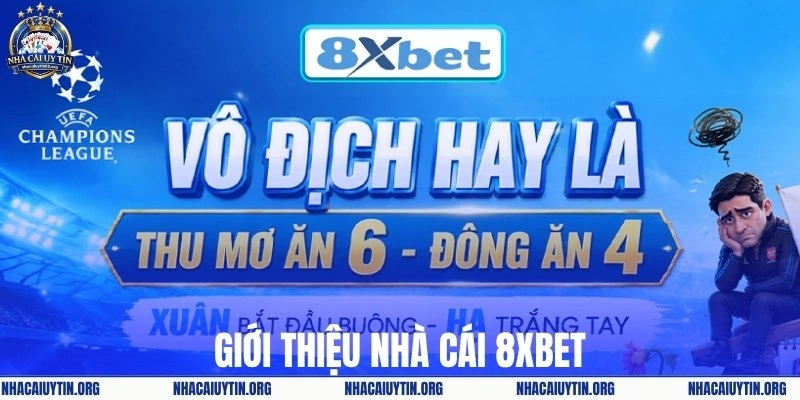 Giới thiệu nhà cái 8XBET