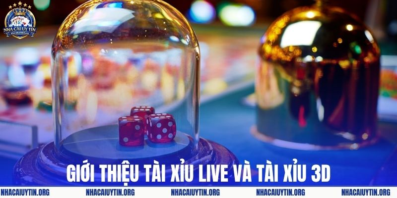 Giới thiệu tài xỉu live và phiên bản 3D